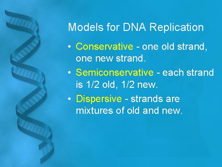 Models for DNA Replication • Conservative - one old strand, one new strand. •