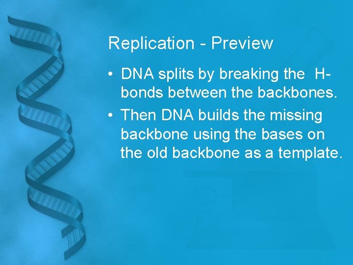 Replication - Preview • DNA splits by breaking the Hbonds between the backbones. •