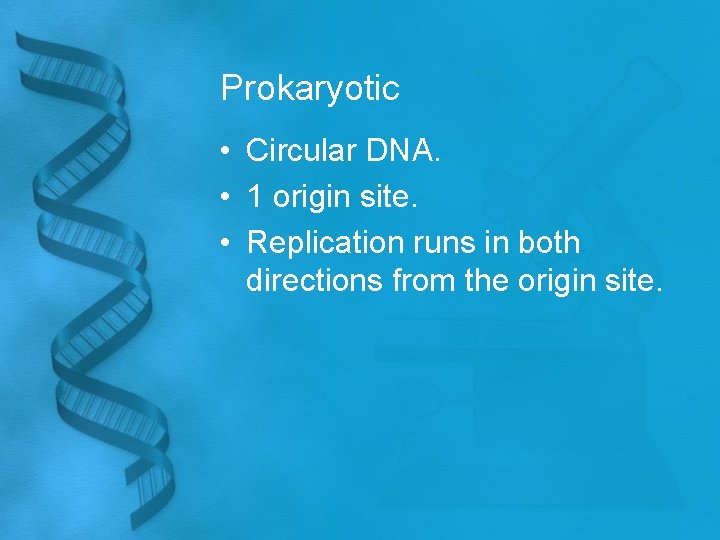 Prokaryotic • Circular DNA. • 1 origin site. • Replication runs in both directions