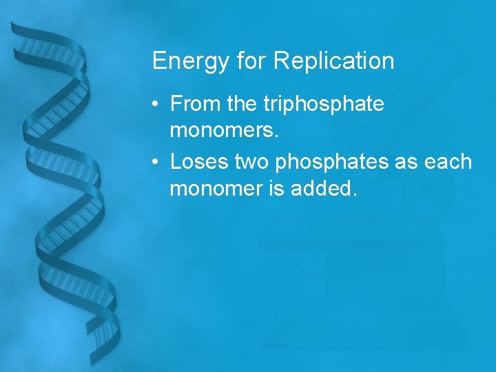 Energy for Replication • From the triphosphate monomers. • Loses two phosphates as each