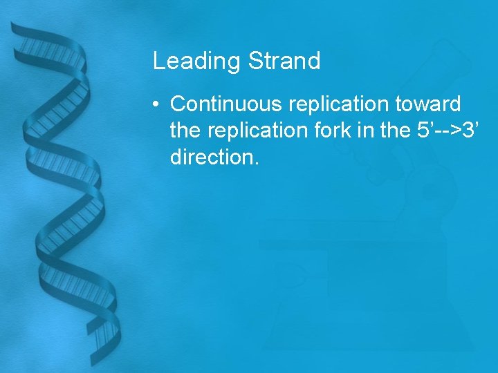 Leading Strand • Continuous replication toward the replication fork in the 5’-->3’ direction. 