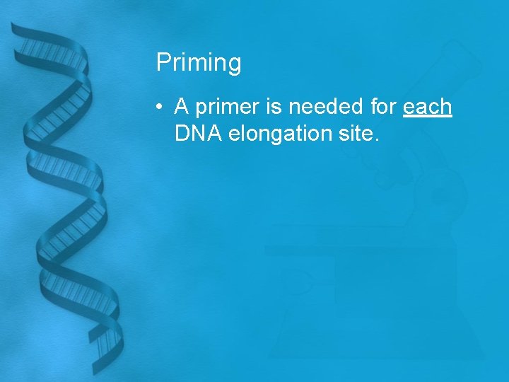 Priming • A primer is needed for each DNA elongation site. 