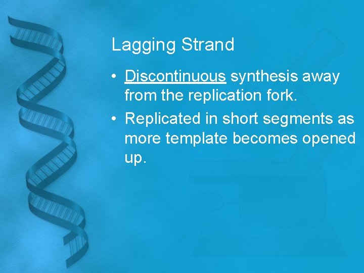 Lagging Strand • Discontinuous synthesis away from the replication fork. • Replicated in short