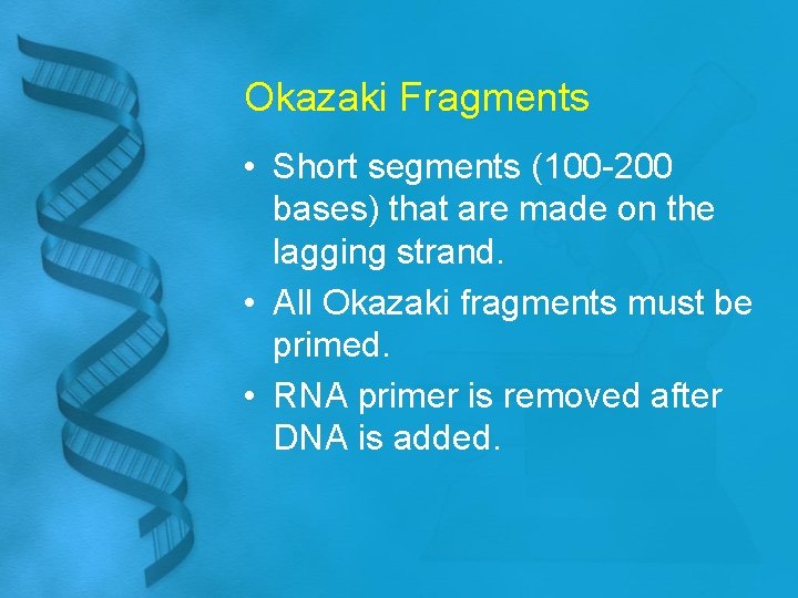 Okazaki Fragments • Short segments (100 -200 bases) that are made on the lagging