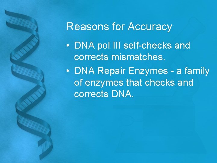 Reasons for Accuracy • DNA pol III self-checks and corrects mismatches. • DNA Repair