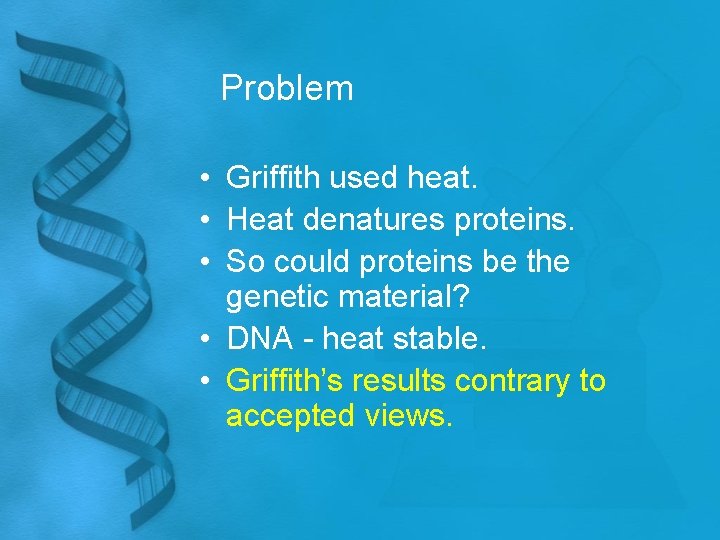 Problem • Griffith used heat. • Heat denatures proteins. • So could proteins be