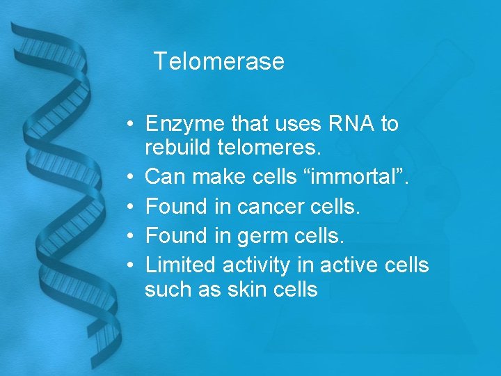 Telomerase • Enzyme that uses RNA to rebuild telomeres. • Can make cells “immortal”.