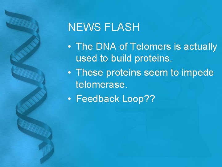 NEWS FLASH • The DNA of Telomers is actually used to build proteins. •