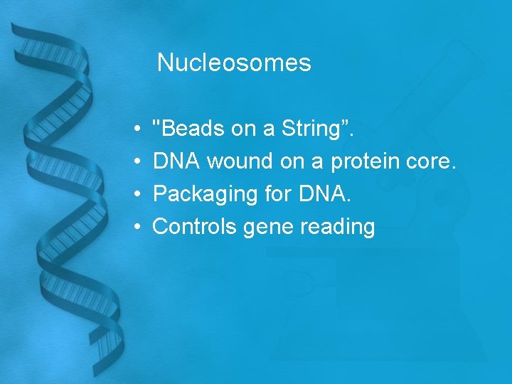 Nucleosomes • • "Beads on a String”. DNA wound on a protein core. Packaging