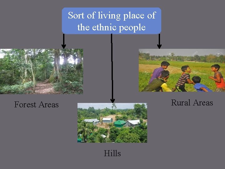 Sort of living place of the ethnic people Rural Areas Forest Areas Hills 