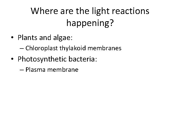 Where are the light reactions happening? • Plants and algae: – Chloroplast thylakoid membranes