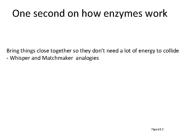 One second on how enzymes work Bring things close together so they don’t need