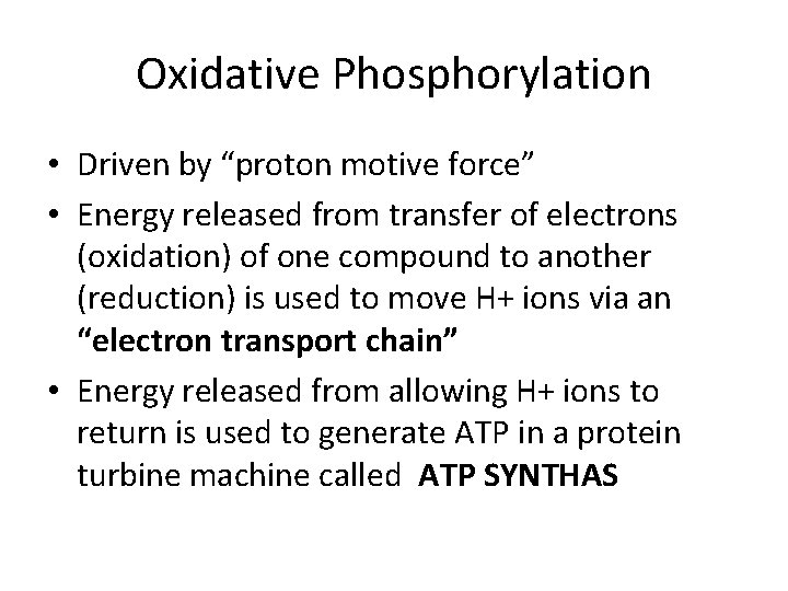 Oxidative Phosphorylation • Driven by “proton motive force” • Energy released from transfer of