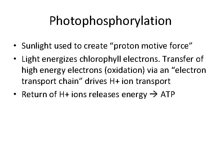 Photophosphorylation • Sunlight used to create “proton motive force” • Light energizes chlorophyll electrons.