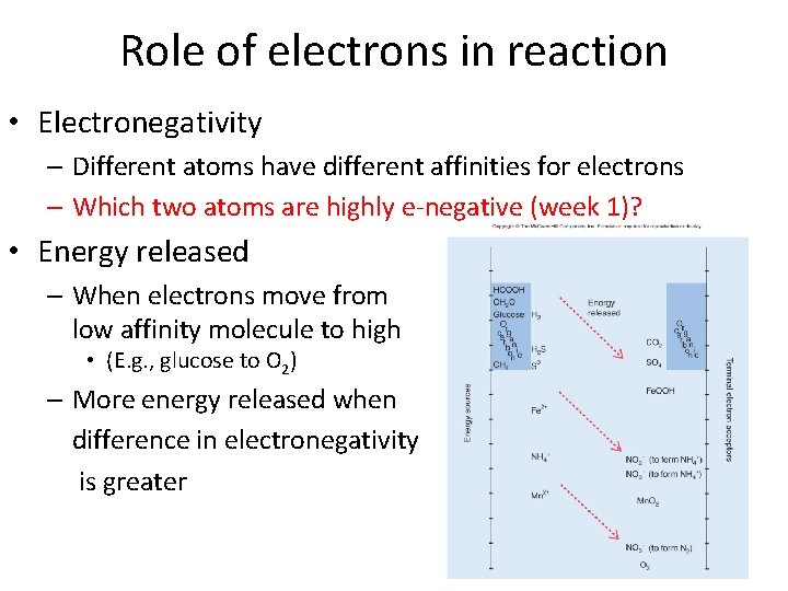 Role of electrons in reaction • Electronegativity – Different atoms have different affinities for