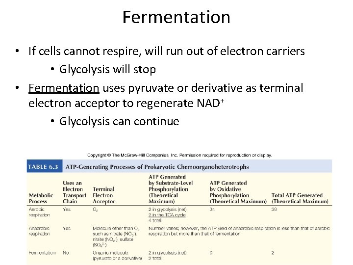 Fermentation • If cells cannot respire, will run out of electron carriers • Glycolysis