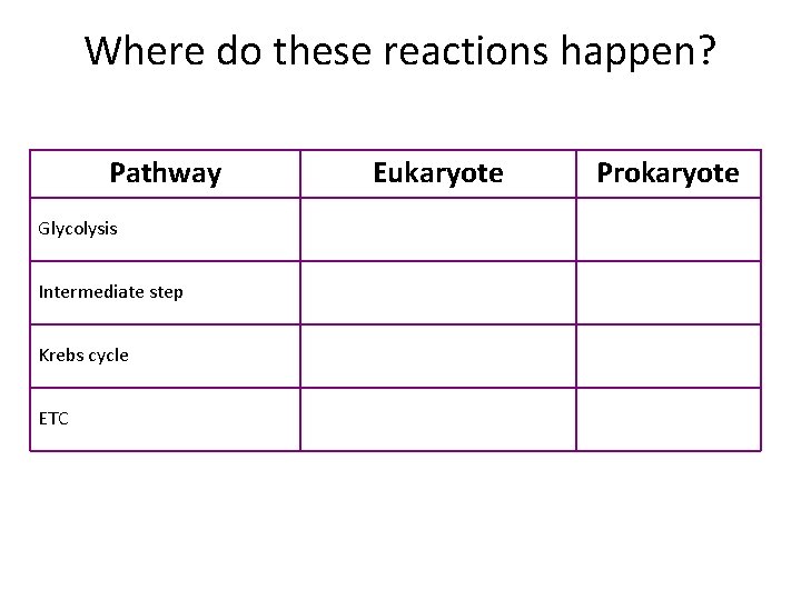 Where do these reactions happen? Pathway Glycolysis Intermediate step Krebs cycle ETC Eukaryote Prokaryote