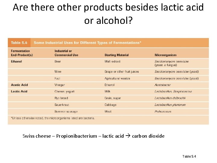 Are there other products besides lactic acid or alcohol? Swiss cheese – Propionibacterium –