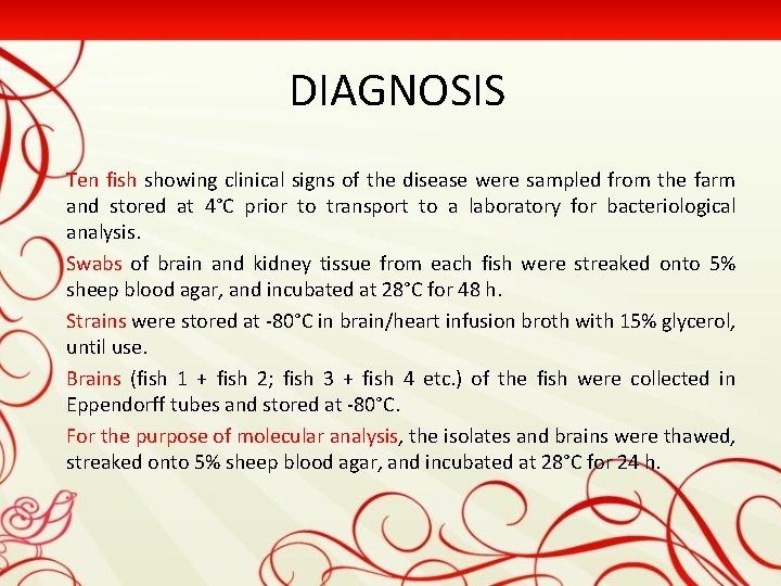 DIAGNOSIS Ten fish showing clinical signs of the disease were sampled from the farm
