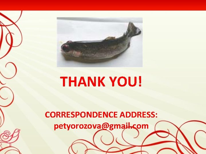 THANK YOU! CORRESPONDENCE ADDRESS: petyorozova@gmail. com 