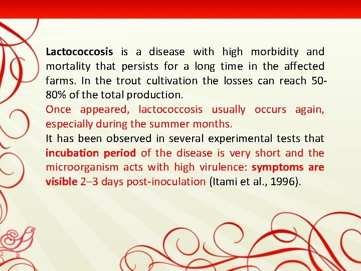 Lactococcosis is a disease with high morbidity and mortality that persists for a long