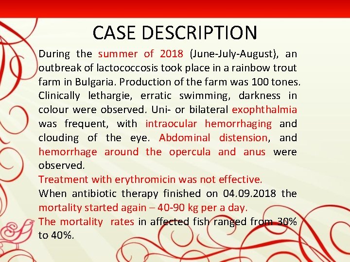 CASE DESCRIPTION During the summer of 2018 (June-July-August), an outbreak of lactococcosis took place