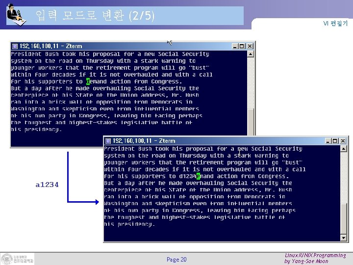 입력 모드로 변환 (2/5) VI 편집기 a 1234 Page 20 Linux/UNIX Programming by Yang-Sae