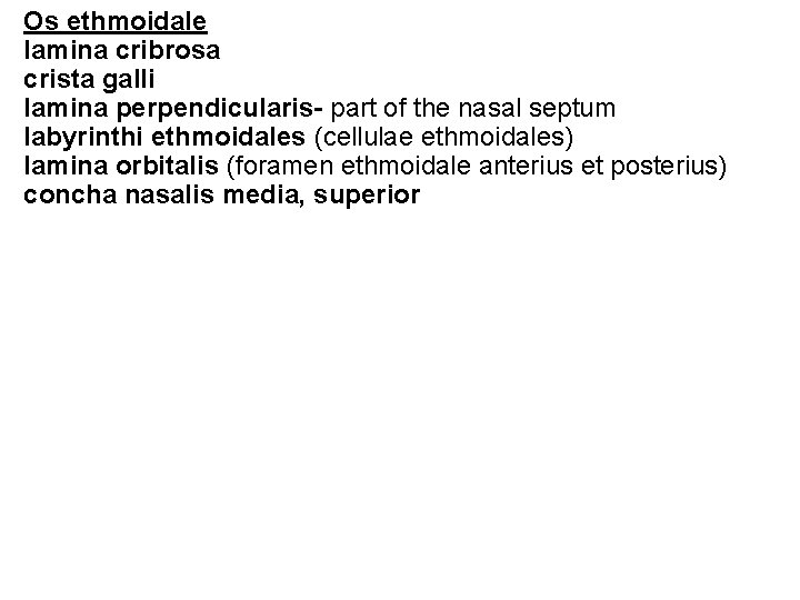 Os ethmoidale lamina cribrosa crista galli lamina perpendicularis- part of the nasal septum labyrinthi