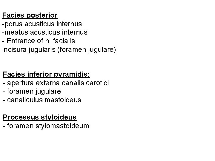 Facies posterior -porus acusticus internus -meatus acusticus internus - Entrance of n. facialis incisura