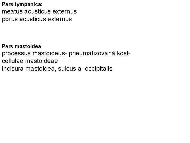 Pars tympanica: meatus acusticus externus porus acusticus externus Pars mastoidea processus mastoideus- pneumatizovaná kostcellulae
