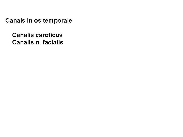 Canals in os temporale 1. Canalis caroticus 2. Canalis n. facialis 