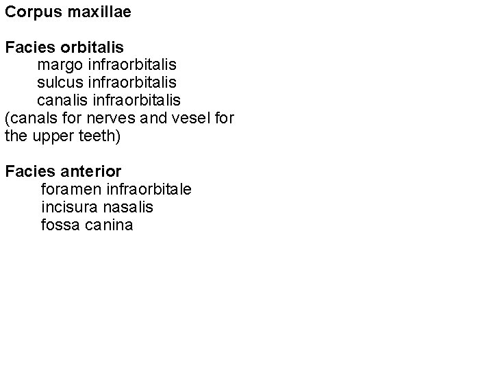 Corpus maxillae Facies orbitalis margo infraorbitalis sulcus infraorbitalis canalis infraorbitalis (canals for nerves and