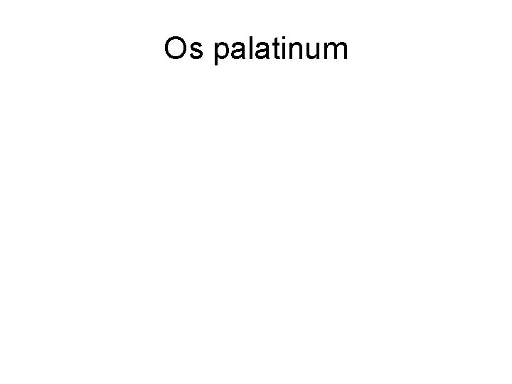 Os palatinum 