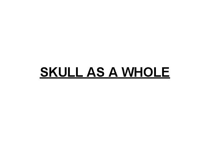 SKULL AS A WHOLE 
