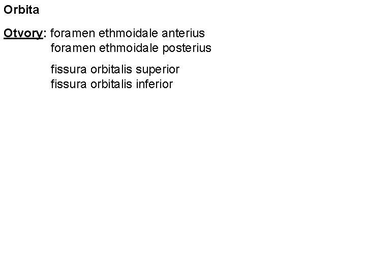 Orbita Otvory: foramen ethmoidale anterius foramen ethmoidale posterius fissura orbitalis superior fissura orbitalis inferior
