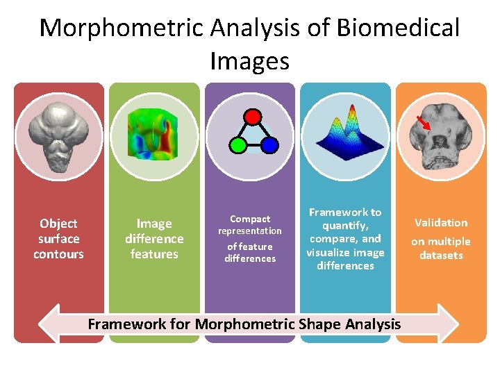 Morphometric Analysis of Biomedical Images Object surface contours Image difference features Compact representation of