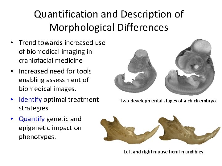 Quantification and Description of Morphological Differences • Trend towards increased use of biomedical imaging