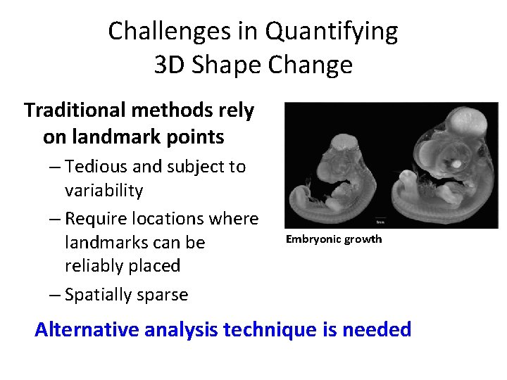 Challenges in Quantifying 3 D Shape Change Traditional methods rely on landmark points –