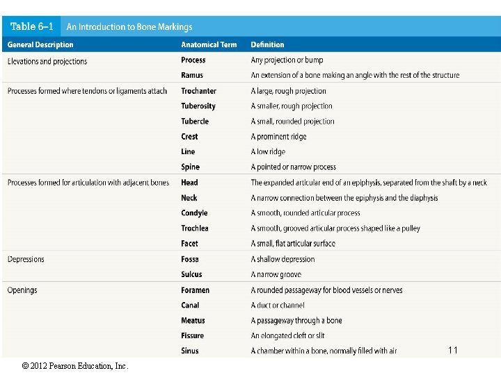 11 © 2012 Pearson Education, Inc. 