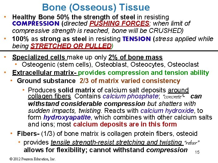 Bone (Osseous) Tissue • Healthy Bone 50% the strength of steel in resisting COMPRESSION