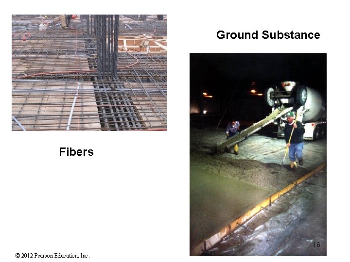 Ground Substance Fibers 16 © 2012 Pearson Education, Inc. 