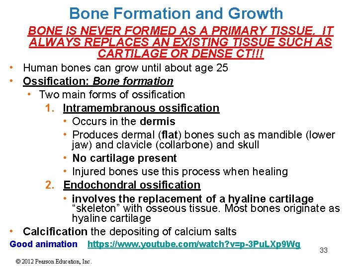 Bone Formation and Growth BONE IS NEVER FORMED AS A PRIMARY TISSUE. IT ALWAYS