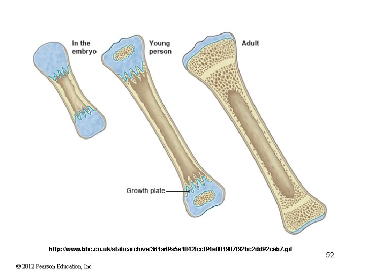 http: //www. bbc. co. uk/staticarchive/361 a 69 a 5 e 1042 fccf 94 e