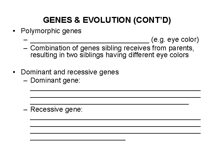 GENES & EVOLUTION (CONT’D) • Polymorphic genes – _______________ (e. g. eye color) –