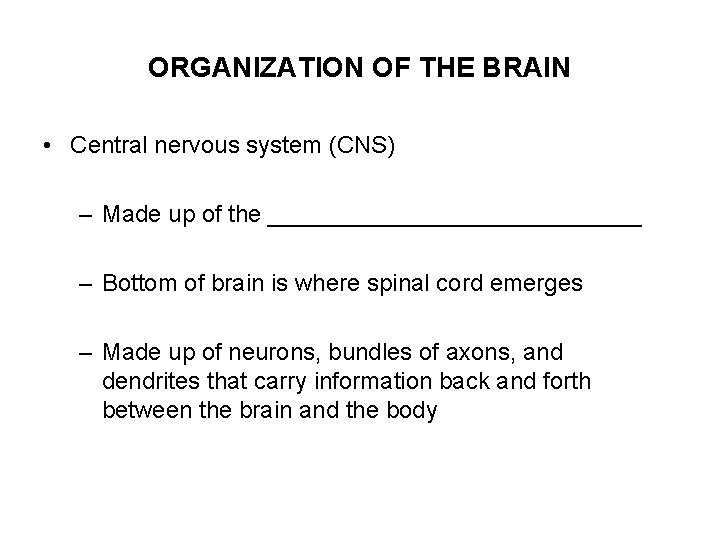 ORGANIZATION OF THE BRAIN • Central nervous system (CNS) – Made up of the