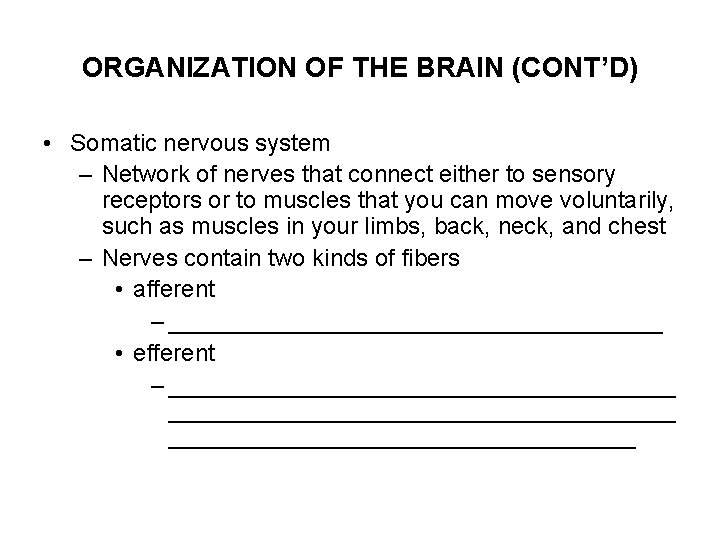 ORGANIZATION OF THE BRAIN (CONT’D) • Somatic nervous system – Network of nerves that