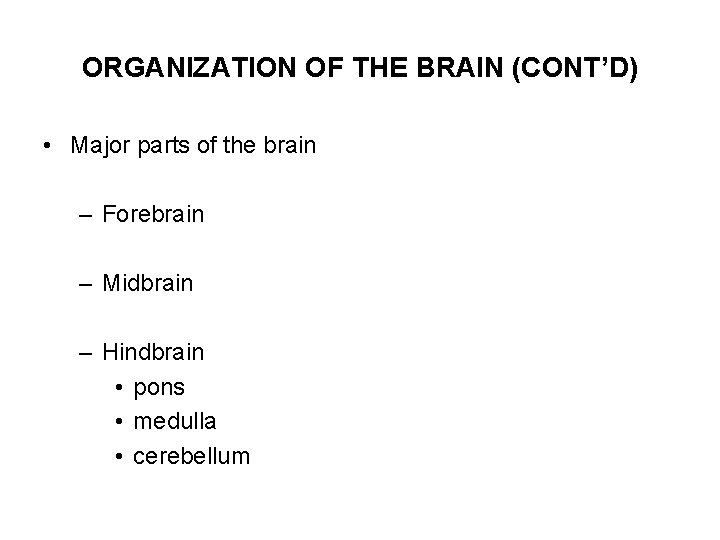 ORGANIZATION OF THE BRAIN (CONT’D) • Major parts of the brain – Forebrain –