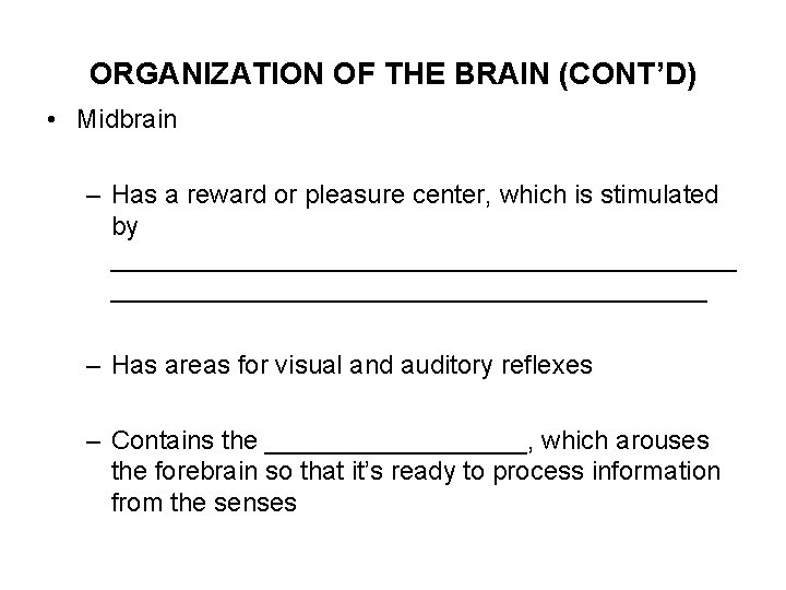 ORGANIZATION OF THE BRAIN (CONT’D) • Midbrain – Has a reward or pleasure center,