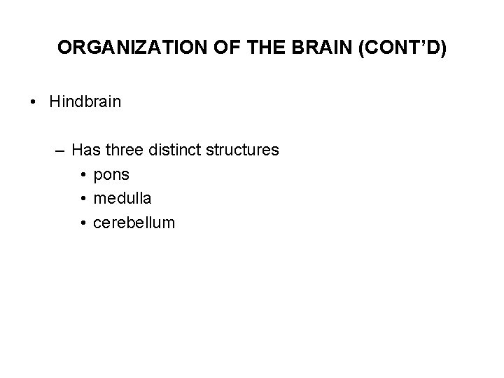 ORGANIZATION OF THE BRAIN (CONT’D) • Hindbrain – Has three distinct structures • pons