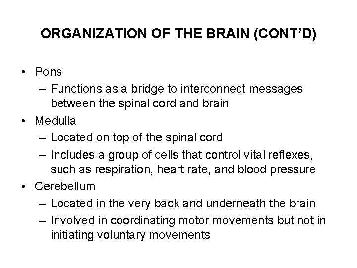 ORGANIZATION OF THE BRAIN (CONT’D) • Pons – Functions as a bridge to interconnect